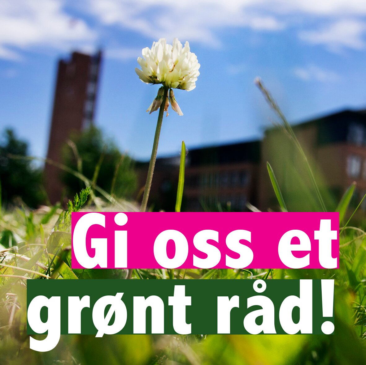 gronnereby's profile picture. 