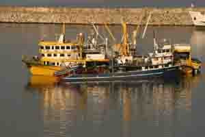 NkSile's profile picture. İŞİM VEYA İŞİMİZ SADECE HABER