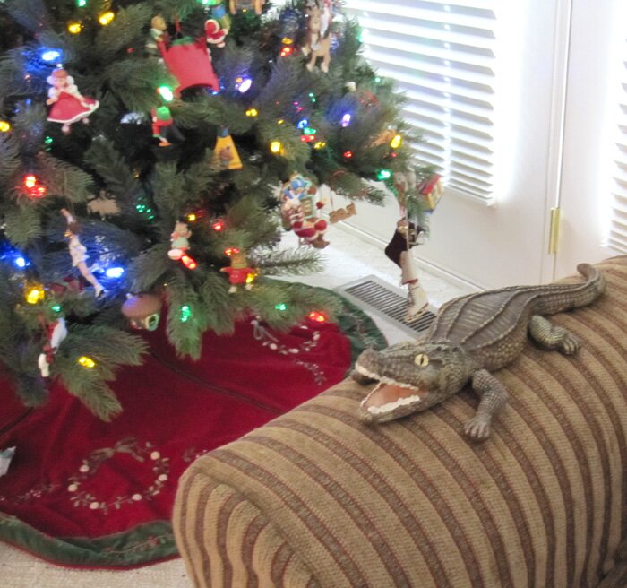 Elizabe30659529's profile picture. 