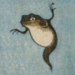 猫時雨さんのプロフィール画像