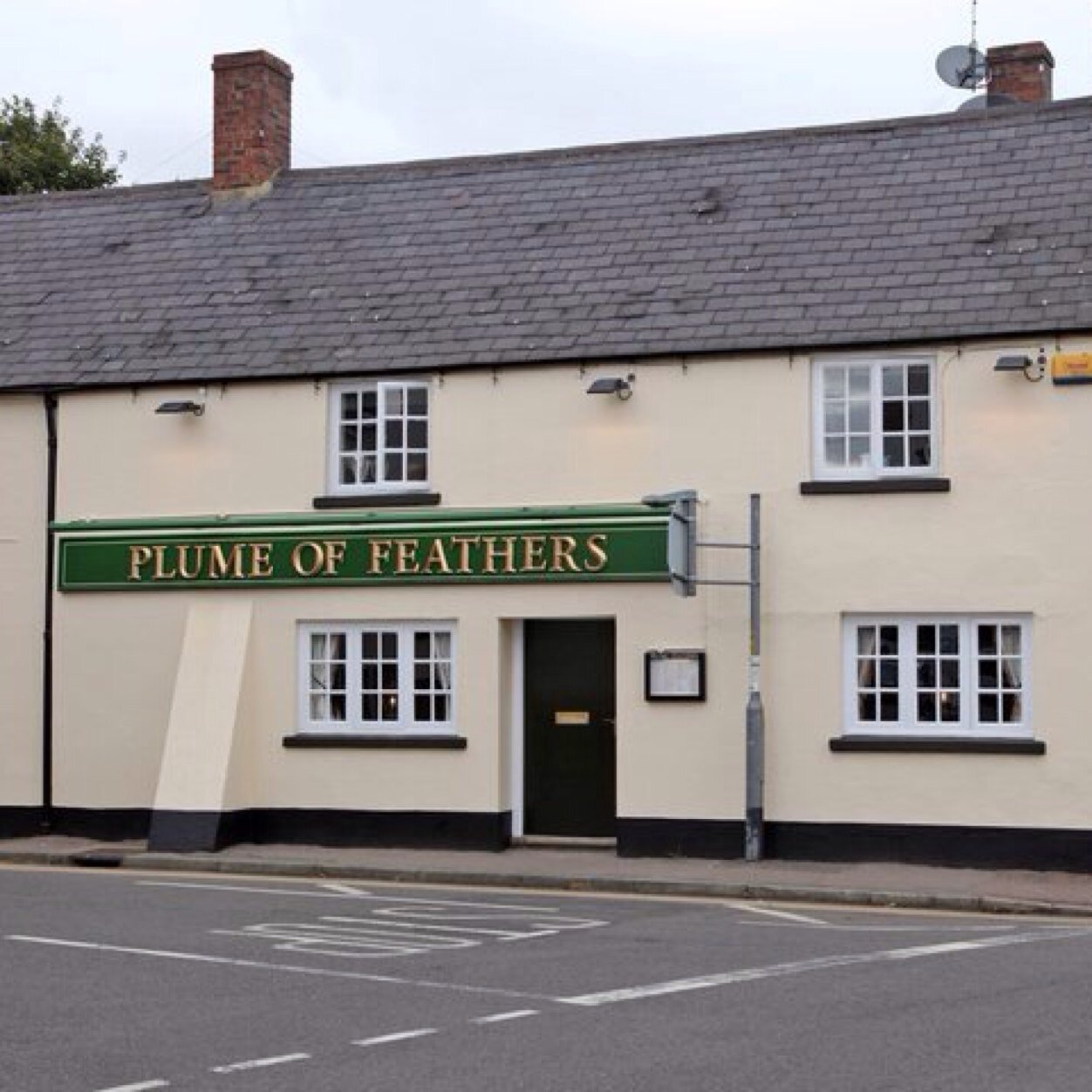 PlumeWeedon's profile picture. 