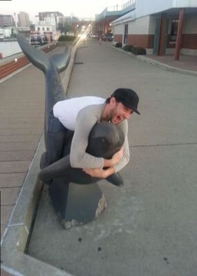 raab10's profile picture. professional dolphin wrestler