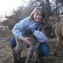 Julie Hays - @HaysHollowFarm - Twitter