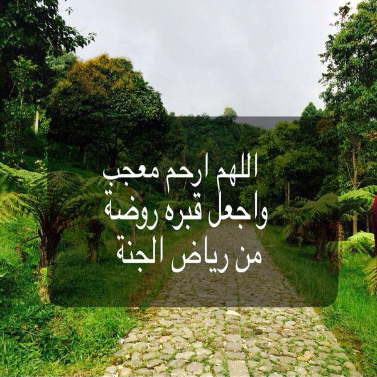 صدقه لمعجب القحطاني رحمه الله رحمة واسعه ربي يرحمه ويثبته عند السؤال ، انشروا تغريداتي فأنا بحاجه لها واذكروني بدعوه