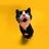 김은채 (@unchea) 's Twitter Profile