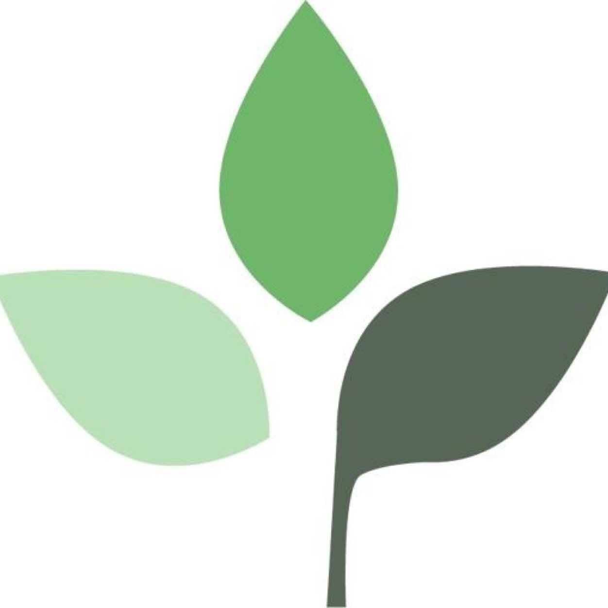 Founded by Dr. Alok Mehra from Jaipur. Dr. Mehra's Homeopathy has 3 centres in Jaipur, all managed by Dr. Alok Mehra.