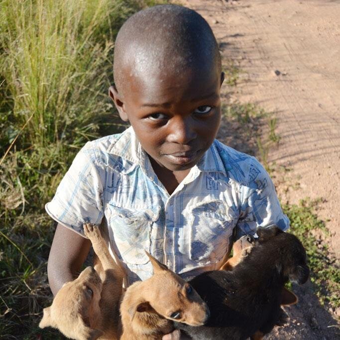 vets4change's profile picture. We help communities, local charities and state organisations run animal welfare projects. Next project, Mpumalanga, ZA http://t.co/Qd9wZSRjGq