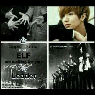 afaf221281's profile picture. 