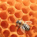 Oscar Amos - @OscarAmoz - Twitter