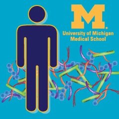 Twitter feed of the University of Michigan Medical School Host Microbiome Inititiative