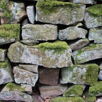 senseofspace (@yorkshiregrand) 's Twitter Profile