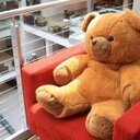 関西の私大で助教してます。分野は教育社会学•移民研究です。オートエスノグラフィーを使って自分の経験もどうにか書き出してます。