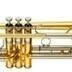 Trumpeteer and all round jolly good chap......mostly!