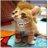 sorfnaga9087's profile image