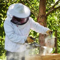 jan baldwin (@baldwin_jan) 's Twitter Profile