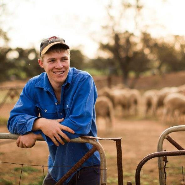 On October 25-26, Alistair Keller & Mark Steinborner are taking on the huge challenge of shearing around the clock for 24 hours. No sleep but plenty of sheep!