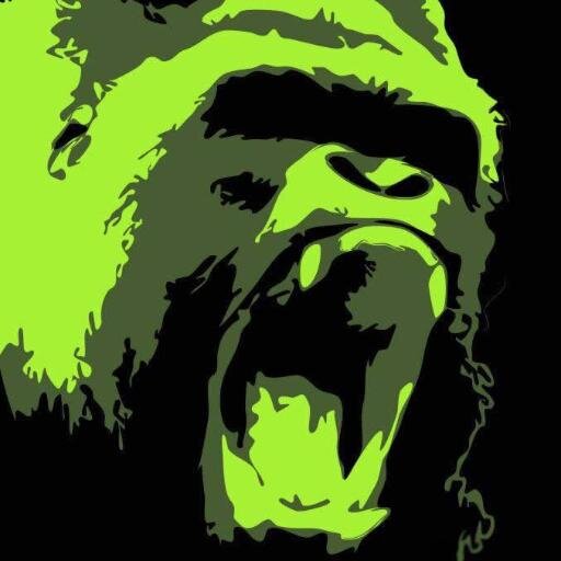 Kong Adventure Profile