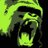 Kong_Adventure's profile image