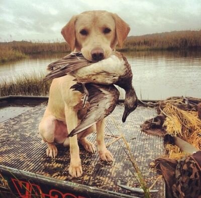 samwatson102691's profile picture. 