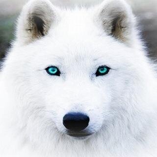 xt11_joo's profile picture. 