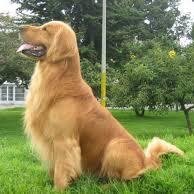 malavedoris's profile picture. 