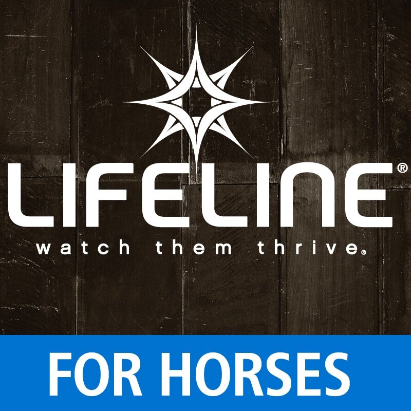 Support your horse's performance and health throughout training, competition and beyond with serum-based LIFELINE® Equine performance products. #WatchThemThrive