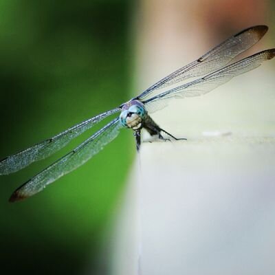 CresentsunPhoto's profile picture. 20 years old. Navarre Florida.Every image you see i took. .