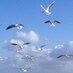 Volker Heuwinkel (@volkerheuwinkel) Twitter profile photo