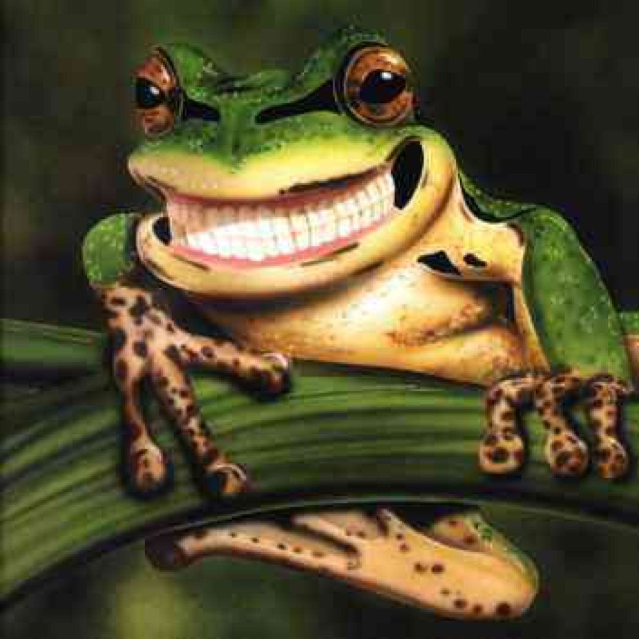 frighteningfrog's profile picture. My soul is Stuck in a leather wetsuit.