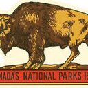 Henry Rath - @rathh2 - Twitter