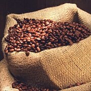 YolovalgoCom's profile picture. 