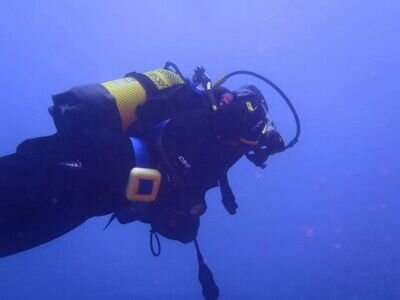 Gamer y PhD. Talasofílico. Twitter instalado en el ordenador de buceo. Tengo un láser gordo que ve nubes