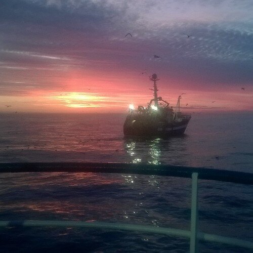 calum_kidd's profile picture. 