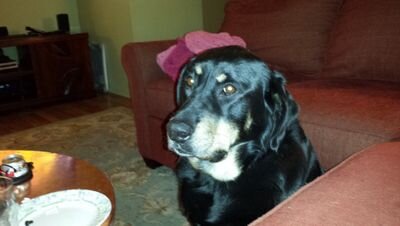 KilgoreRick's profile picture. 