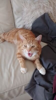 JakeBennett__14's profile picture. 