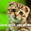 Fermin Torres Torres - @fermintorresa - Twitter