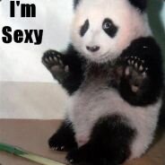 1SexyPandaMomma's profile picture. 