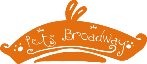 petsbroadway's profile picture. Could your pet be the next broadway star?