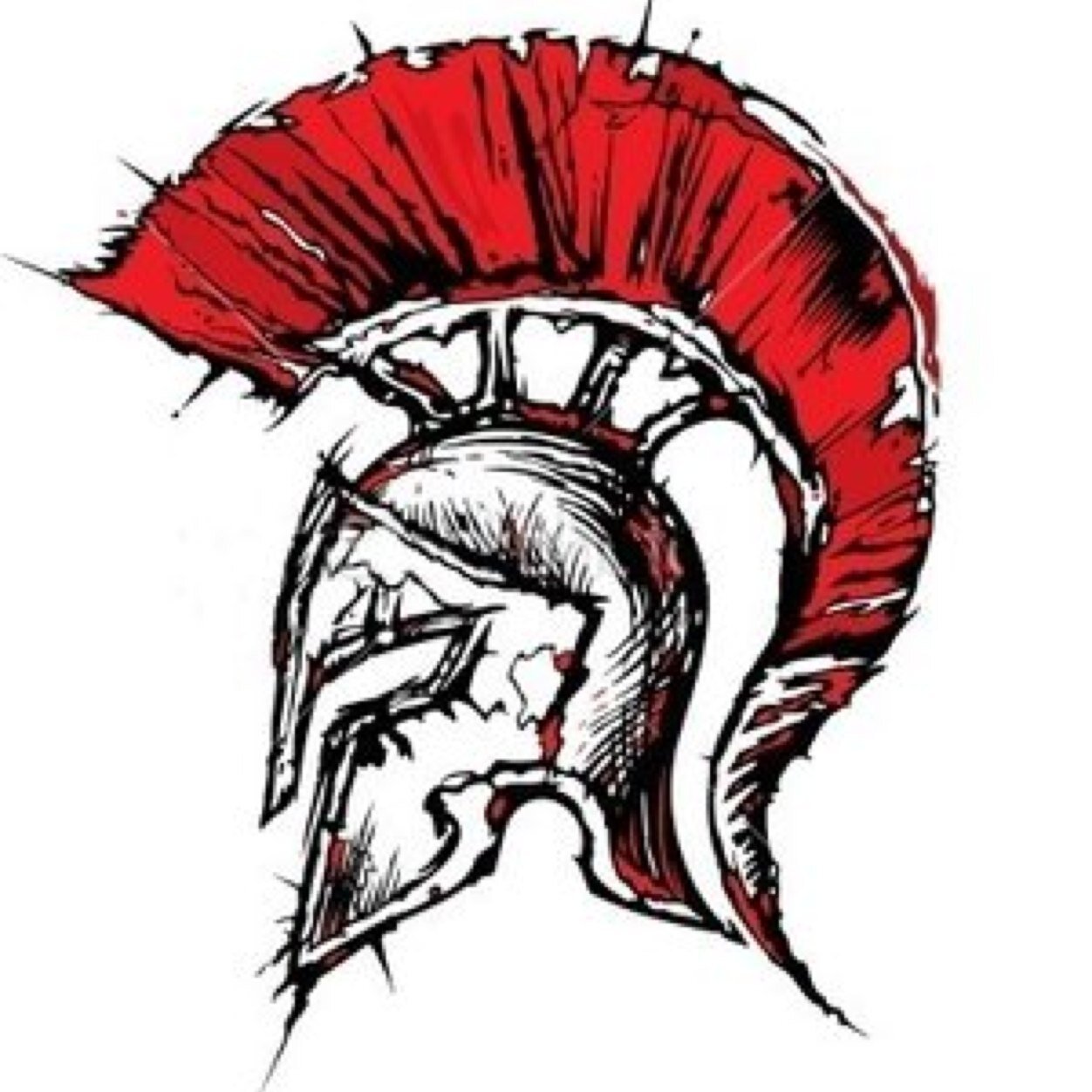 TRAIN LIKE A SPARTAN!