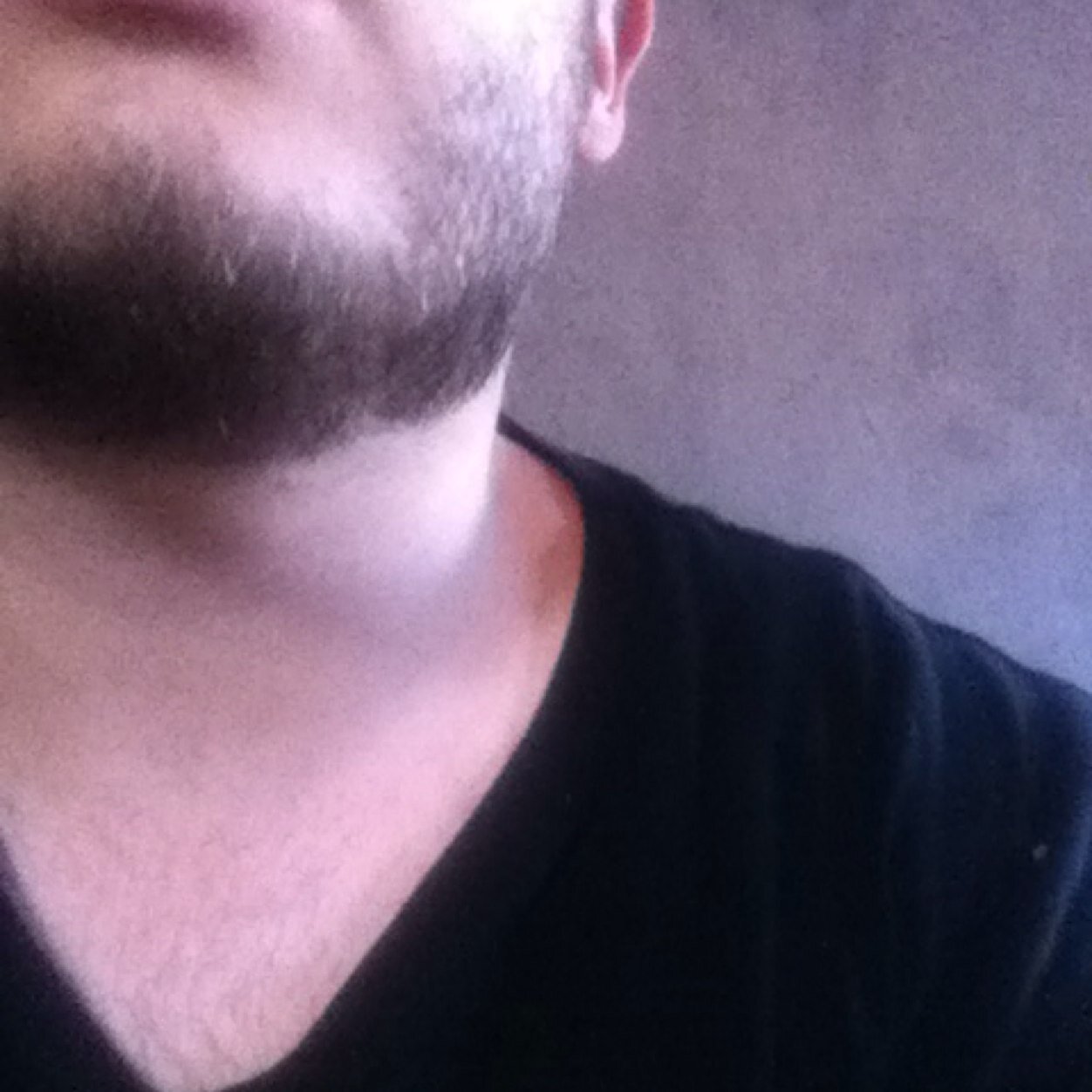 Soy XL