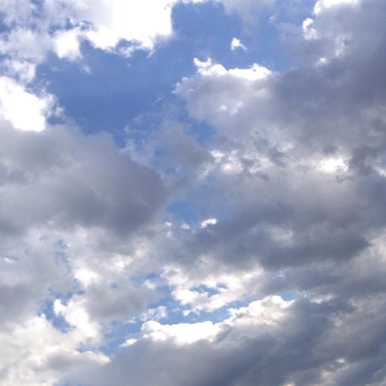 BriaaaaBria's profile picture. 