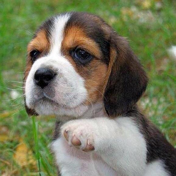 ☺☺☺