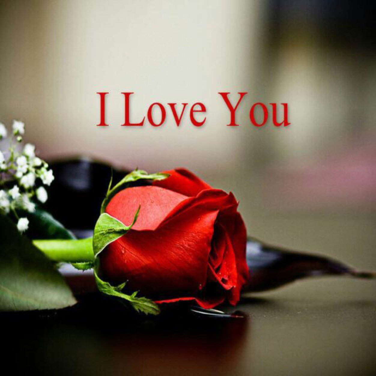 soosooo671's profile picture. 