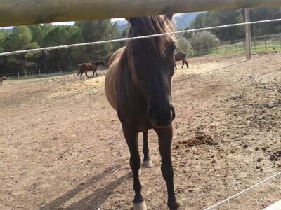 buenasatodosas's profile picture. de mente abierta