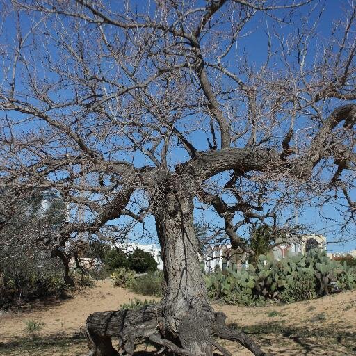 CanPostWontPost's profile picture. This is a social experiment to see how many followers it's possible to get for a Twitter account that never intends to tweet. Please spread the word. :-)