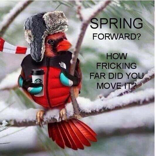 California transplant to the frozen north
