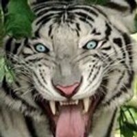 Dale Jerene (@jerenie) 's Twitter Profile