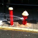 CunninghamDM's profile picture. Blue nose, loves books and games (PC, PS3/4, Xbox) and sometime marathon runner.