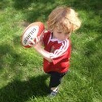 Tal Parry (@talparry) Twitter profile photo