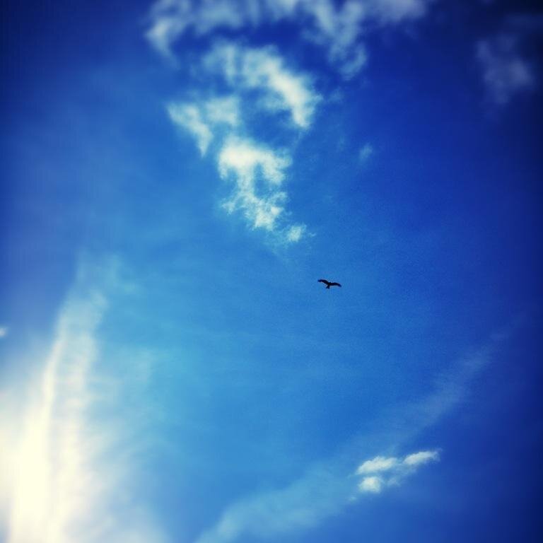 AButterWayToFly's profile picture. Bereavement blog. My honest thoughts along my journey, from devastating loss to finding hope and a new way to fly.